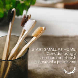 Start small at home to help the environment by using a bamboo toothbrush